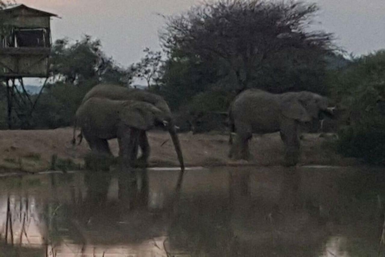 Kubu Khaya Mabalingwe Βίλα Mabula Game Reserve Εξωτερικό φωτογραφία